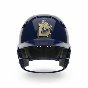 3D Helmet - Gold & Navy